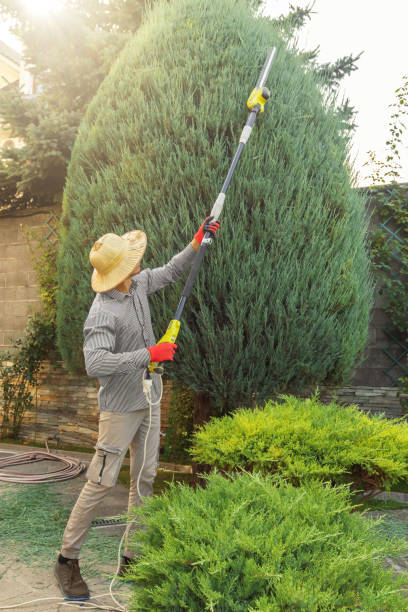 Lawn Irrigation Installation and Maintenance in Proctor, VT